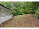Lush backyard featuring a sunroom, mature trees, and natural foliage at 2849 Knotty Pine Ct, Buford, GA 30519