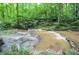 Picturesque creek featuring gentle cascades and lush surroundings, creating a tranquil atmosphere at 1216 Oleander Sw Dr, Lilburn, GA 30047