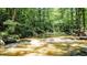 Picturesque creek with a small waterfall surrounded by lush greenery and mature trees at 1216 Oleander Sw Dr, Lilburn, GA 30047