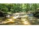 Scenic view of a creek flowing through a lush, green wooded area at 1216 Oleander Sw Dr, Lilburn, GA 30047