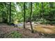 Calm creek surrounded by tall trees and natural foliage, creating a serene and secluded environment at 1216 Oleander Sw Dr, Lilburn, GA 30047