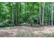Wooded area with a beautiful creek flowing through, providing a peaceful natural view at 1216 Oleander Sw Dr, Lilburn, GA 30047