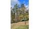Beautiful backyard landscape with a wooded area, green grass, and black fencing at 23 Sunset Se Rdg, Cartersville, GA 30121