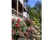 Beautiful lush landscaping around the back of this home, featuring red roses and a stone stairway at 23 Sunset Se Rdg, Cartersville, GA 30121