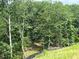 Lush backyard with tall trees, creating a private and serene outdoor space at 237 Laurel Vista Dr, Canton, GA 30114