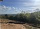 Scenic view from the property showing a lush landscape and blue sky at 237 Laurel Vista Dr, Canton, GA 30114