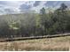 Grassy lot showing a wooded area, demonstrating the property's natural setting at 237 Laurel Vista Dr, Canton, GA 30114