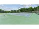 Outdoor tennis courts with green surface surrounded by fences and lush greenery on a sunny day at 5221 Sherwood Way, Cumming, GA 30040