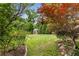 Lush backyard showing a shed, mature trees and plants, and ample space for recreation at 239 Kings Hwy, Decatur, GA 30030