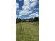 Expansive backyard with lush green grass and wooden fencing offers privacy and space at 5945 Bannister Rd, Cumming, GA 30028