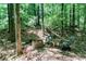 Picturesque backyard with firepit and seating, complemented by a backdrop of lush greenery and natural beauty at 2204 Dresden Nw Grn, Kennesaw, GA 30144