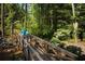 Scenic view of community wooden bridge and walking trail through a lush green forest at 139 Lake Reserve Way, Canton, GA 30115