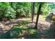 Expansive, fenced backyard featuring mature trees and lush green grass, perfect for outdoor activities at 28 Indian Branch Way, Lawrenceville, GA 30043