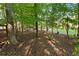 Secluded backyard surrounded by mature trees, offering a tranquil and shaded outdoor space at 211 Parc Dr, Canton, GA 30114