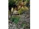 Landscaped backyard with stone path, lush greenery, and a cozy seating area, creating a tranquil and inviting outdoor space at 2672 Brickell Square, Atlanta, GA 30341
