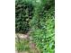 Gorgeous landscaping with lush greenery, flowers, and a stone pathway, creating a serene and inviting outdoor space at 2672 Brickell Square, Atlanta, GA 30341