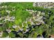 Neighborhood with beautiful trees surrounding the houses at 3220 Goldmist Dr, Buford, GA 30519
