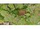 An aerial view of a private backyard surrounded by lush trees and mature landscaping at 10 Bayberry Ct, Acworth, GA 30101