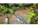 A peaceful, natural stream flowing through the backyard at 7511 Biltmore Ln, Douglasville, GA 30135