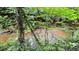 Scenic creek flowing through a lush, green wooded area, providing a tranquil natural setting at 7511 Biltmore Ln, Douglasville, GA 30135