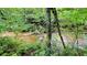 Scenic creek flowing through a lush, green wooded area, providing a tranquil natural setting at 7511 Biltmore Ln, Douglasville, GA 30135