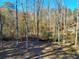 View of the wooded backyard providing a serene and private outdoor space at 4195 Turner Dr, Cumming, GA 30040
