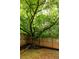 Fenced backyard with mature trees providing privacy and shade at 230 Milton Se Ave, Atlanta, GA 30315