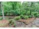 Secluded backyard with lush greenery and a rustic wooden staircase at 3539 Evans Mill Rd, Lithonia, GA 30038