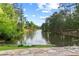 Serene view of a pond with trees surrounding the bank at 878 Middle Fork Trl, Suwanee, GA 30024