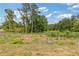 Lush backyard area featuring a garden enclosed with chain link fence, perfect for gardening enthusiasts at 294 Ralph Still Rd, Dacula, GA 30019