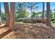 Large backyard with mature trees and a view of the home at 561 Sybil Se Ln, Marietta, GA 30067