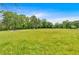 Grassy front yard featuring mature trees, providing shade and curb appeal at 7783 Cantrell Rd, Douglasville, GA 30135