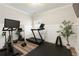 Bright home gym featuring modern exercise equipment, including a spin bike and a treadmill at 714 Chipping Sparrow St, Canton, GA 30115