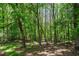 Exterior shot showing driveway, yard and barn at 17 Hiram Way, Hiram, GA 30141