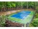 A well-maintained tennis court with fresh paint and surrounded by lush green trees and landscaping at 1301 Cumberland Se Ct, Smyrna, GA 30080