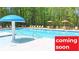 Inviting community pool with lounge chairs and umbrellas surrounded by lush greenery, promising relaxation and leisure at 1316 Village Brook Drive, Dacula, GA 30019