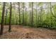 Picturesque backyard featuring tall trees, mulch and a scenic view at 8315 Nicholson Rd, Cumming, GA 30028