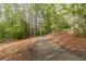 Picturesque wooded driveway leading through towering trees, enhancing the property's private and secluded setting at 8315 Nicholson Rd, Cumming, GA 30028