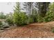 View of mulched clearing with mature trees and potential for a building site at 8315 Nicholson Rd, Cumming, GA 30028