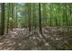 Hiking trail through trees at 3735 Duckcove Way, Cumming, GA 30041