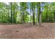 Spacious backyard with mature trees and wooden fence surrounding the property line, offering privacy and natural beauty at 6520 Glen Pond Trce, Cumming, GA 30028
