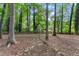 Backyard featuring a stone walkway surrounded by mature trees and lush landscaping for a serene outdoor experience at 6520 Glen Pond Trce, Cumming, GA 30028