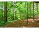 Backyard features lush trees and level ground at 2261 Ravenwood Trl, Marietta, GA 30066