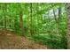Lush backyard surrounded by mature trees at 2261 Ravenwood Trl, Marietta, GA 30066