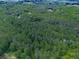 Aerial view of a secluded house nestled among lush, mature trees, offering privacy and tranquility at 275 Frances Rd, Canton, GA 30114