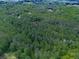Aerial view of a secluded house surrounded by lush, mature trees, offering privacy and tranquility at 275 Frances Rd, Canton, GA 30114