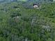 Aerial view of a secluded house surrounded by trees, with a focus on privacy and tranquility at 275 Frances Rd, Canton, GA 30114