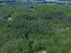 An expansive aerial view shows lush, dense tree cover at 275 Frances Rd, Canton, GA 30114