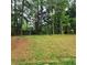 Grassy backyard slopes gently uphill to the tree line and wooden fence at 5859 Bellingrath Way, Lithonia, GA 30058