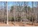 Wooded backyard with bare trees and fallen leaves showing natural landscaping at 120 Kettering Trce, Tyrone, GA 30290